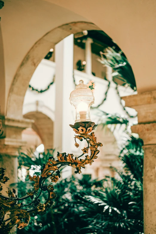 a light fixture in the middle of a room with lots of plants on it