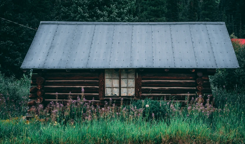 a cabin sits in a meadow in the woods