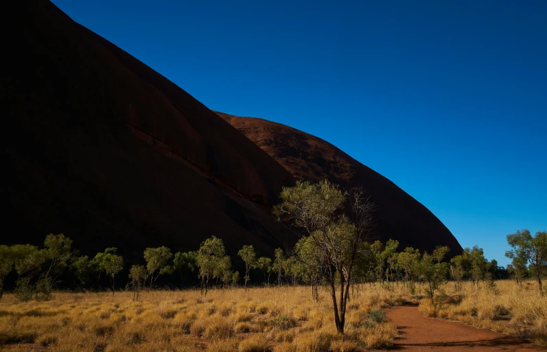 a small tree sits at the bottom of a dirt path in front of mountains