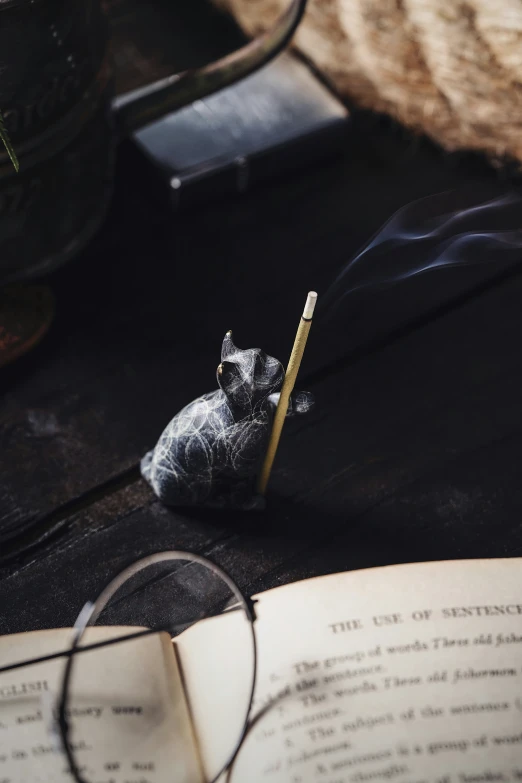 a black table topped with a book and a small bird