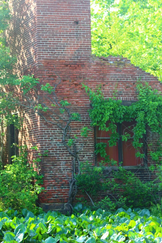 the ivy is growing over the side of a brick building