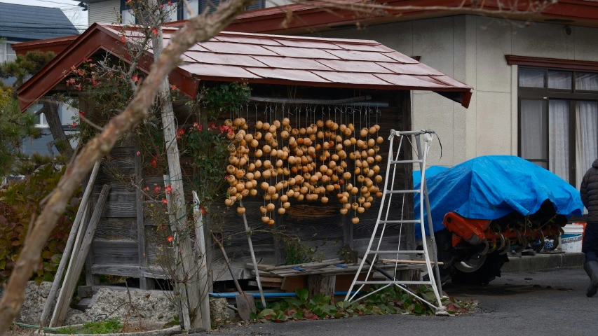 the man is walking by the small building near a blue tarp