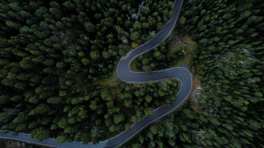 a curved road passing through trees in a forest