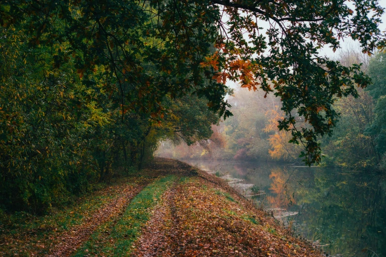 a road that has some trees along side of it