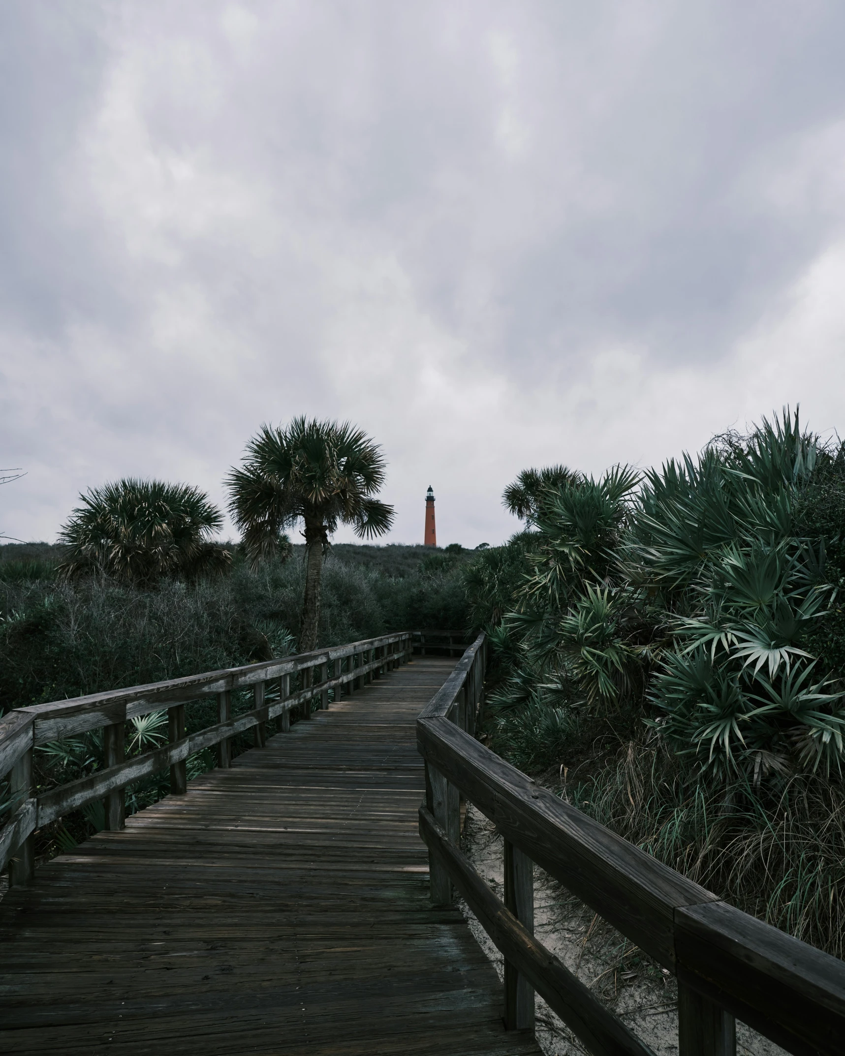 a path with palm trees on both sides leading to a light house in the distance