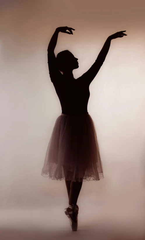 the silhouette of a woman in ballet tutu is seen