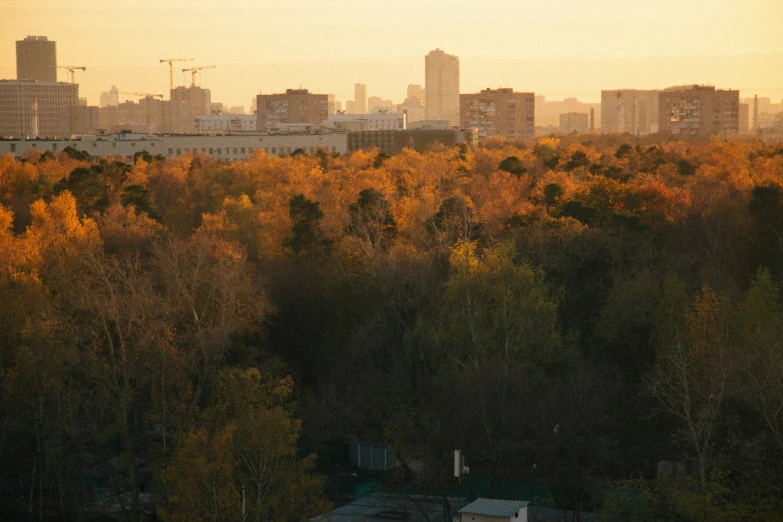 the city skyline with trees is seen in front of it