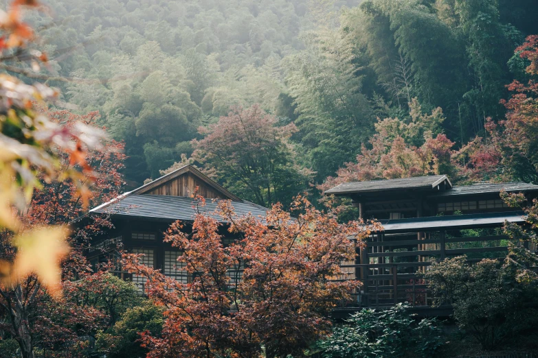 a house with trees and a forest in the background