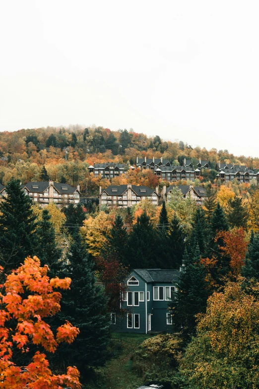 an old black house is among many trees in the fall