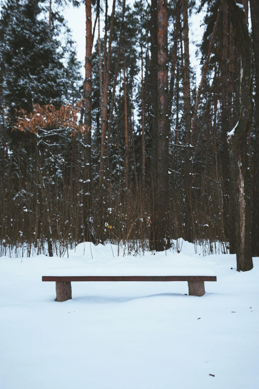 a bench in the snow on a snowy day