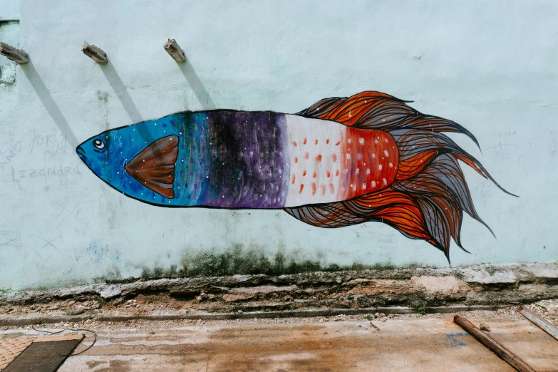 this is a street scene with a fish painted on the wall