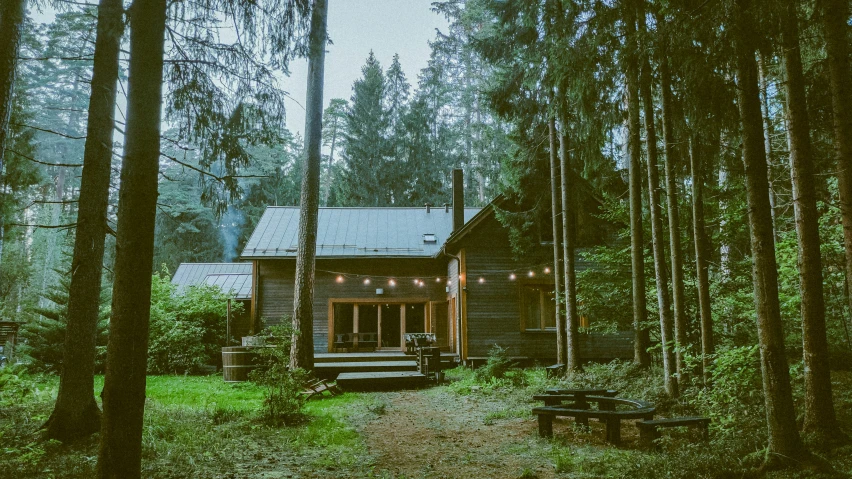 the cabin in the woods is made from logs