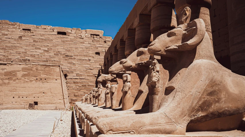 statues of elephants and rams next to the entrance to a building