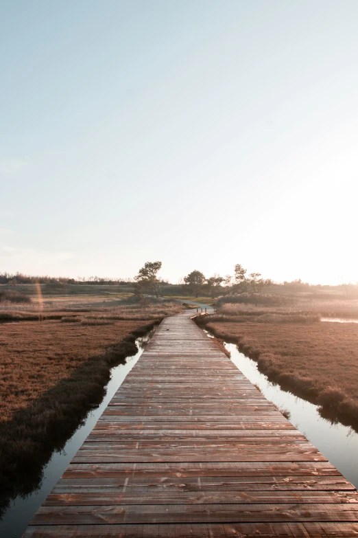 a dock with wooden planks in front of a grassy field and water