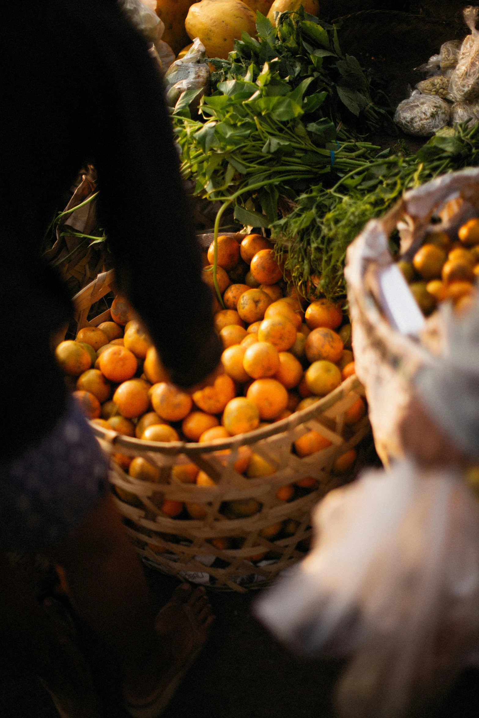 a person is putting some oranges into a basket