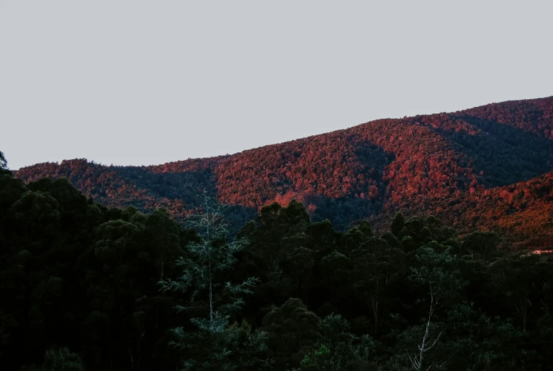 a scenic scene of a mountain side with trees and orange foliage