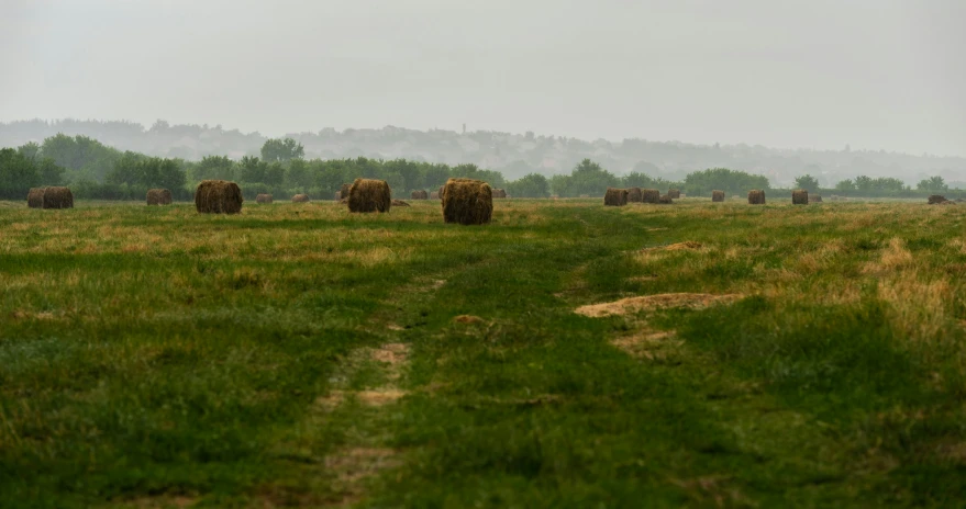 hay bales in an open field on a foggy day