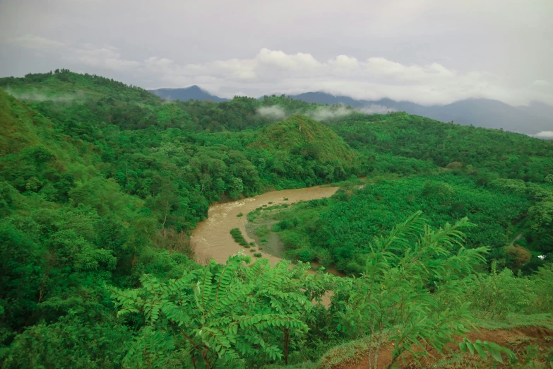 the view from the top of a mountain with lush green trees