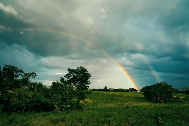 a rainbow with a cloudy sky is above trees