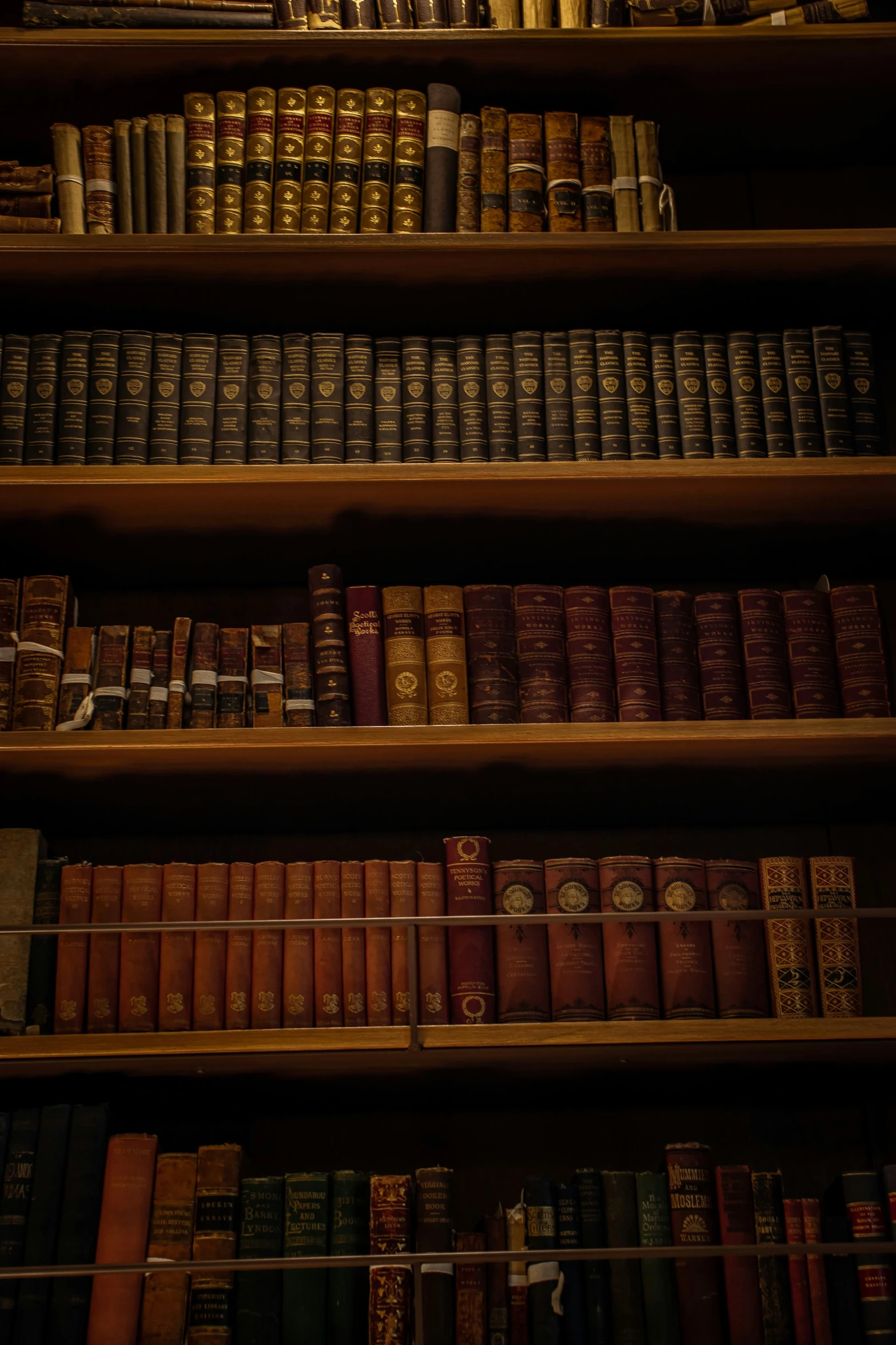a very long shelf with several old books