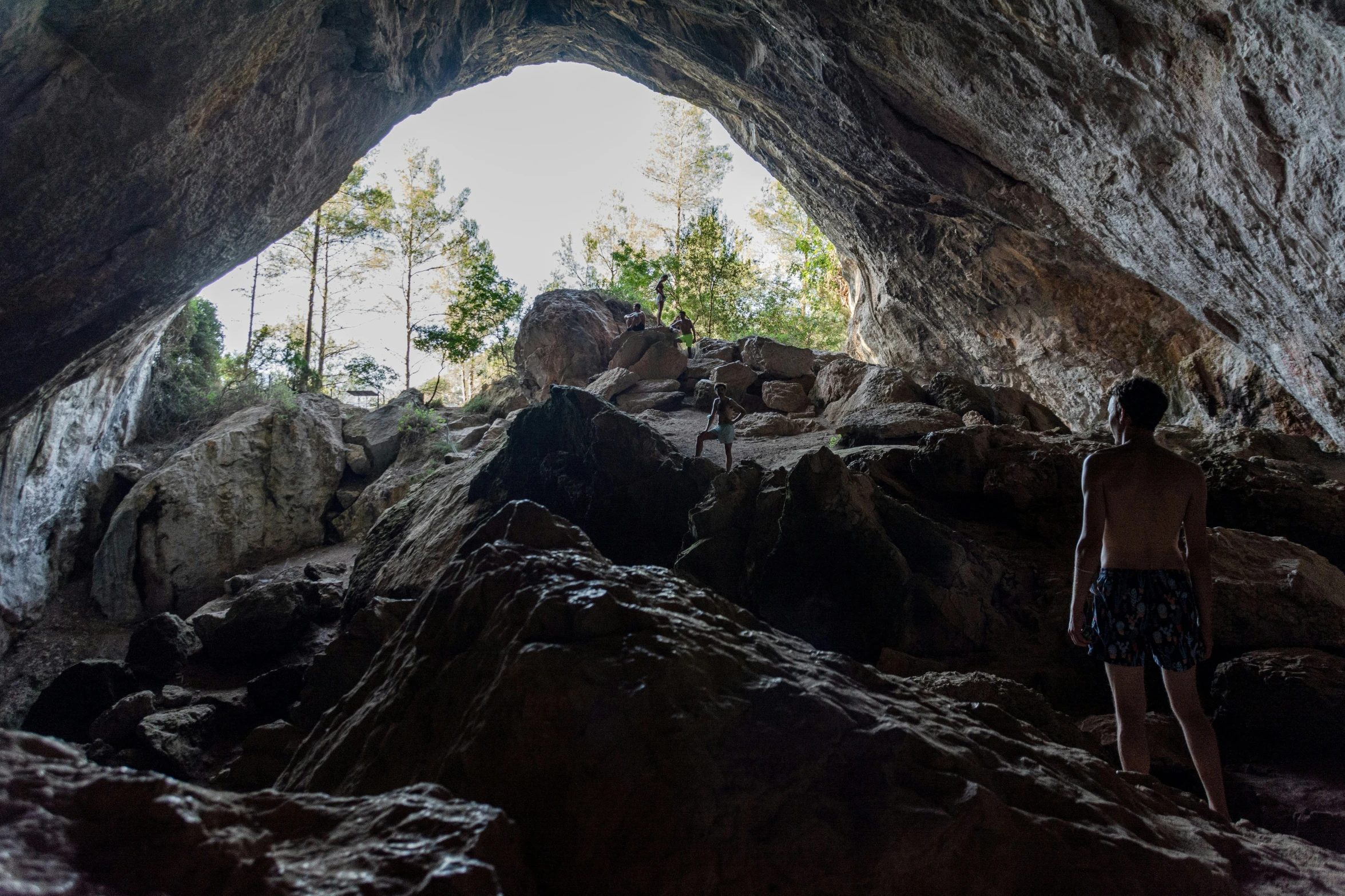 a cave of small rocks is opened to the jungle