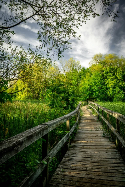 a bridge near trees with clouds in the sky