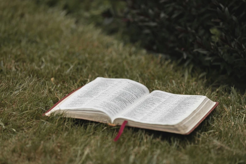 an open book sitting in a grassy field