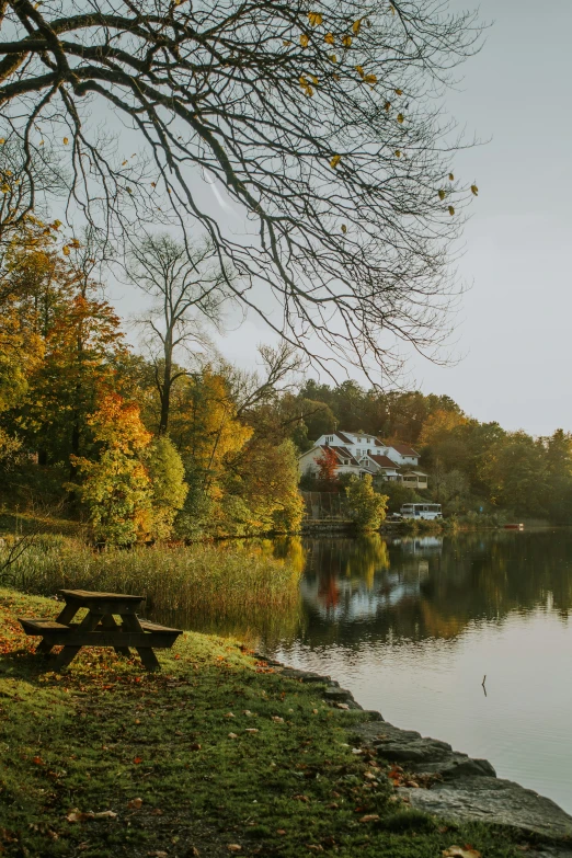 this is a scenic po of autumn trees by the river