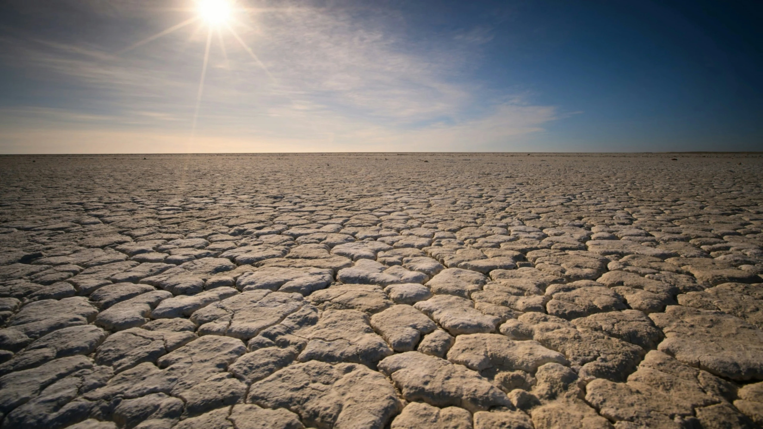 a view looking across a vast field, with little patchy ground