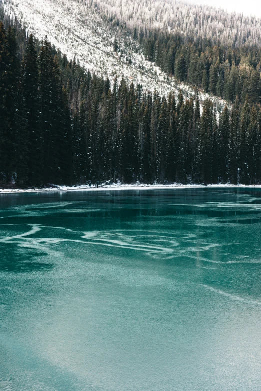 this is a picture of a lake surrounded by pine trees