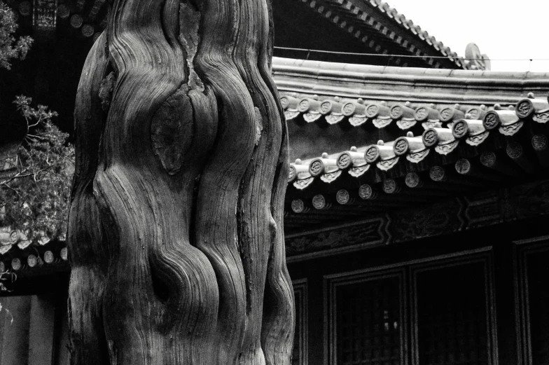 black and white po of an asian temple with carved trees