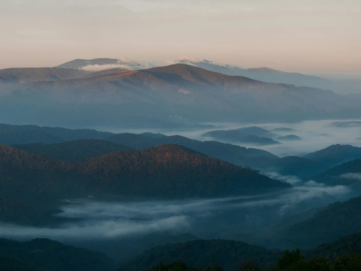 a few large hills covered in fog with some low trees on each side