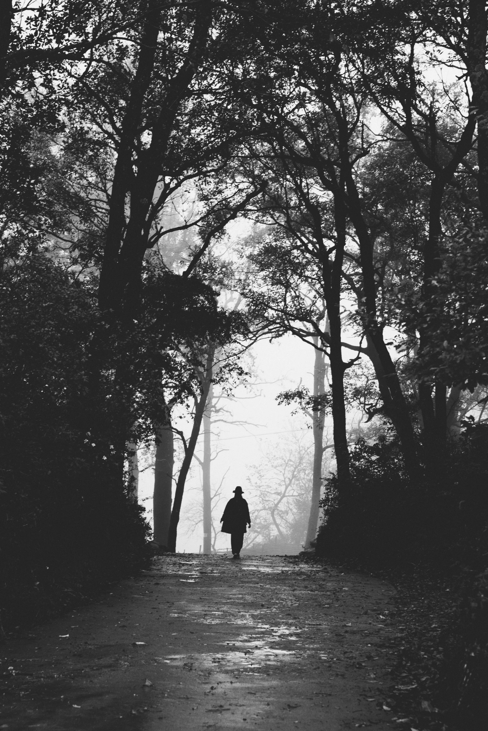 man walking on path in a dark forest with fog