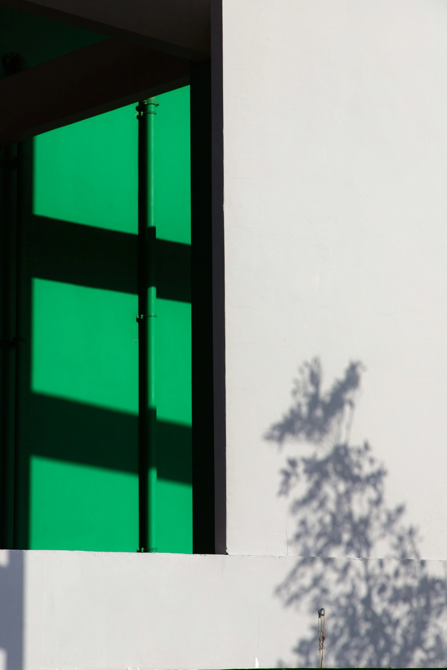 shadow of tree on building and green door