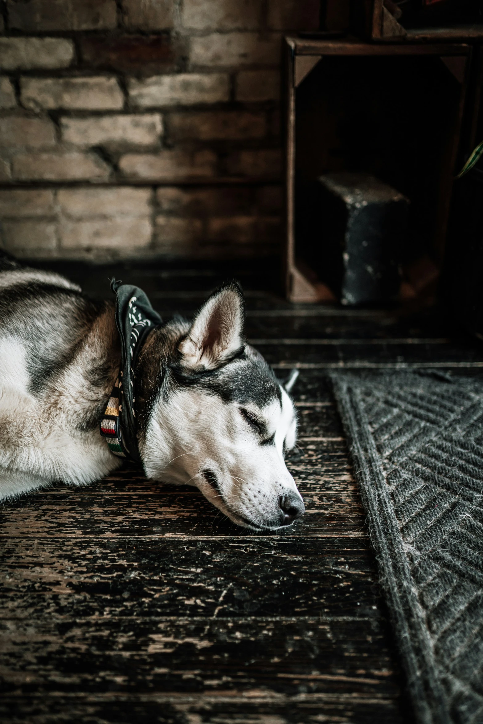 a large white dog sitting on a rug