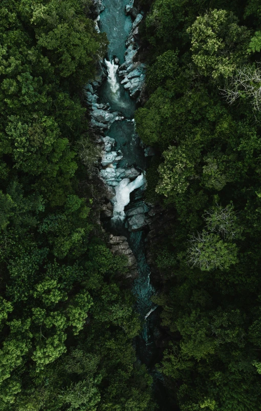 an aerial view of a river through some trees