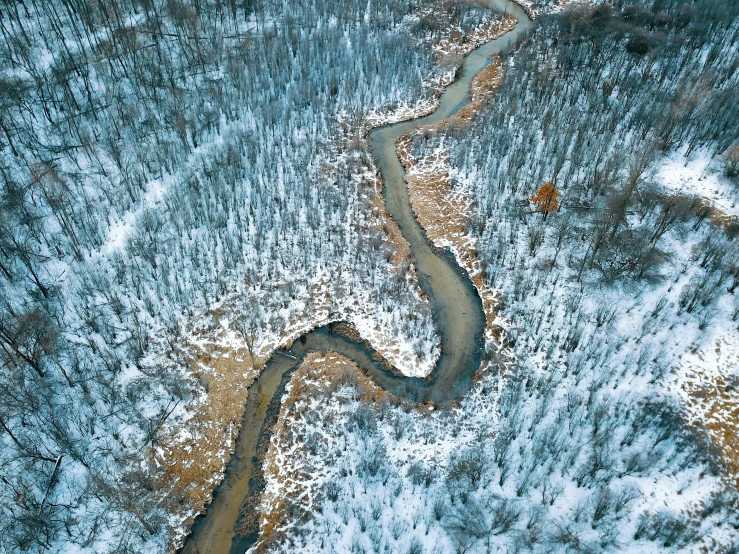 aerial view of a river winding through the forest