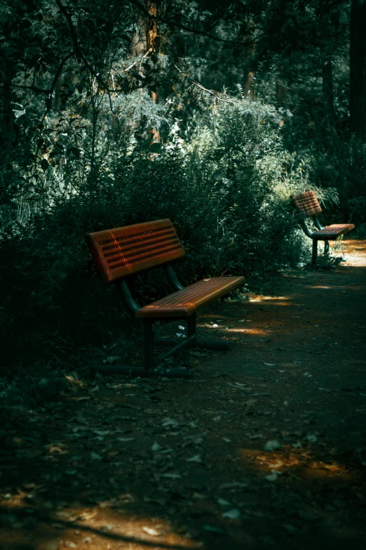 a bench sits in the sunlight near a bush