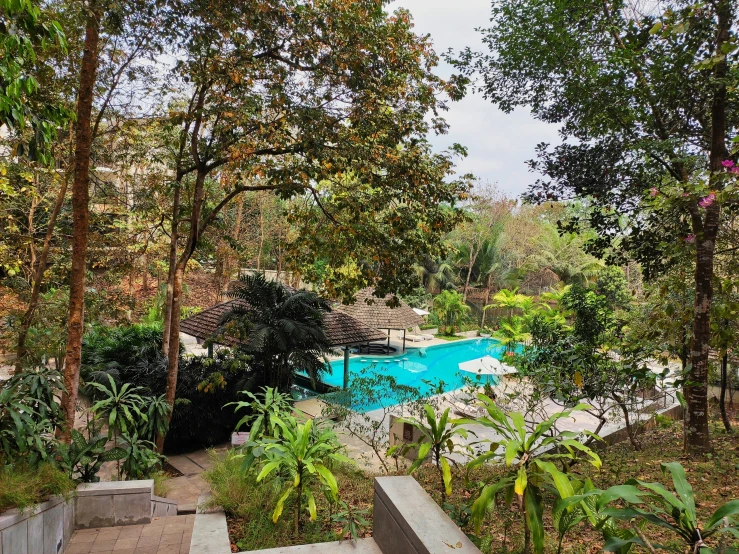 an aerial view of the pool at the el