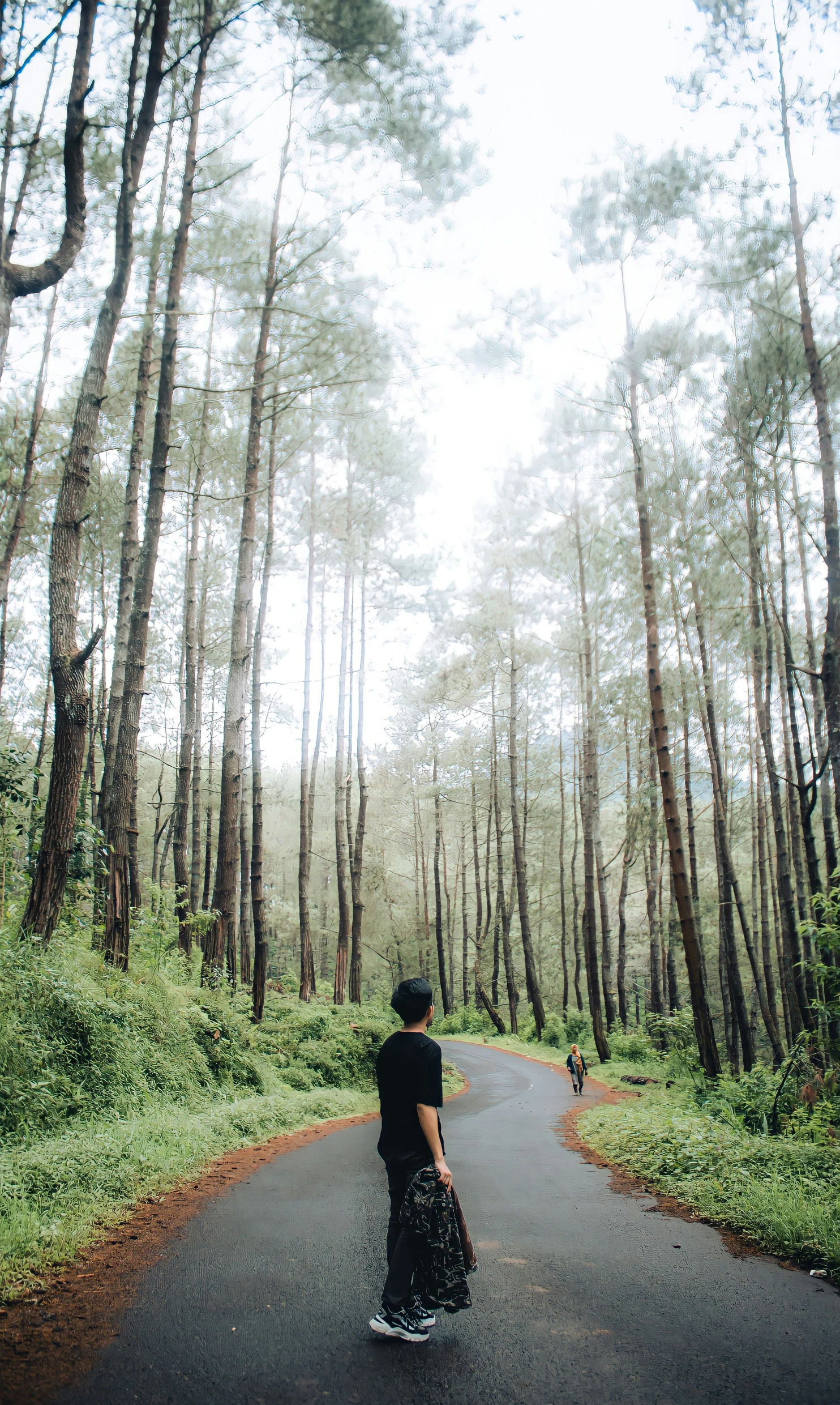 a man skateboarding down a paved road between tall trees