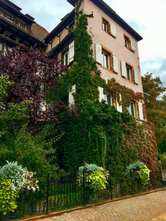 a large building is covered with lots of plants