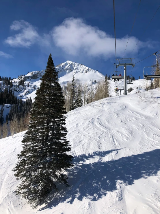 there are many snow covered hills and trees at this place