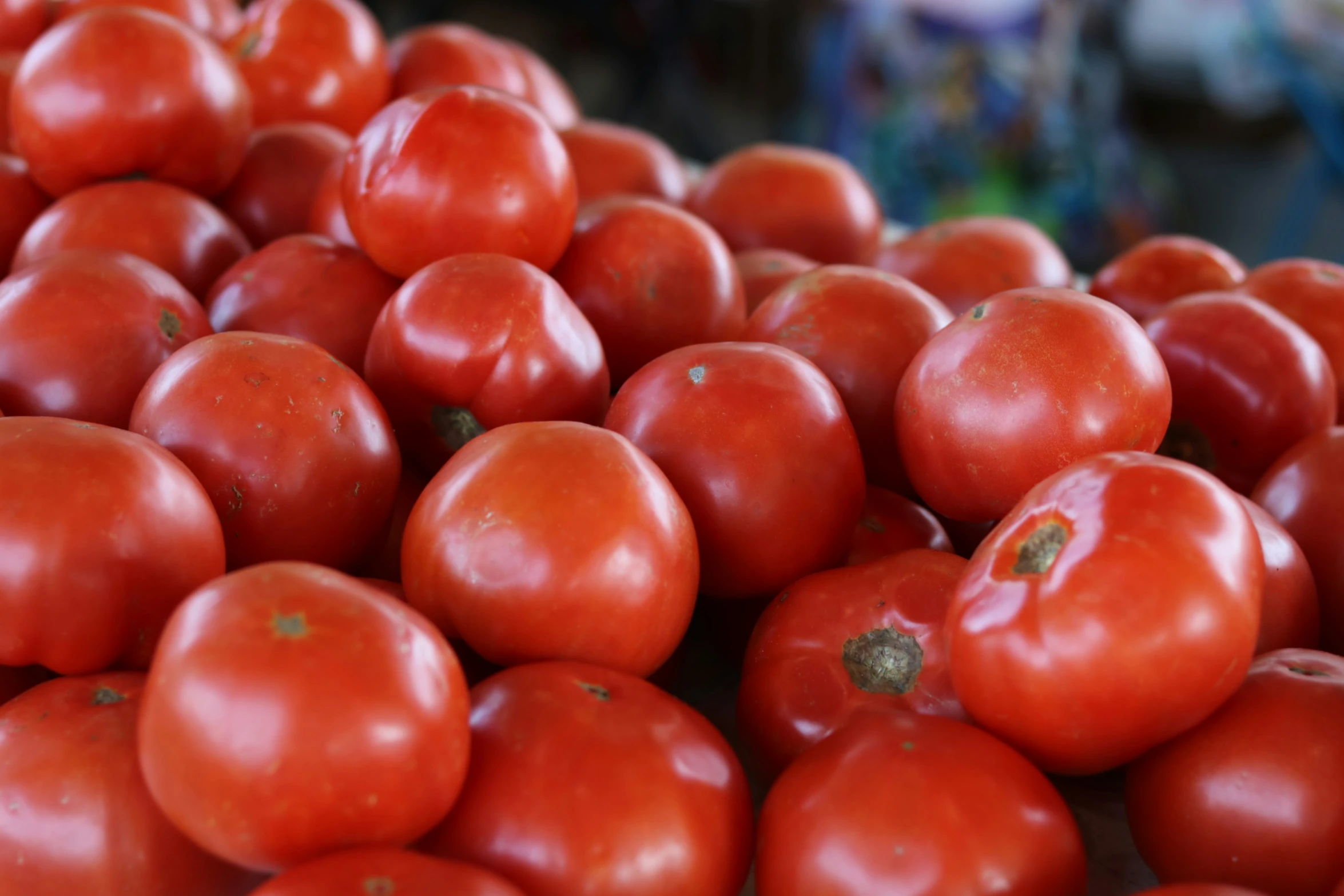 a pile of fresh red tomatoes piled together