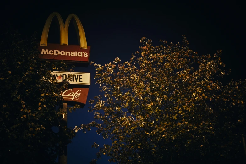 there are two mcdonalds signs next to trees