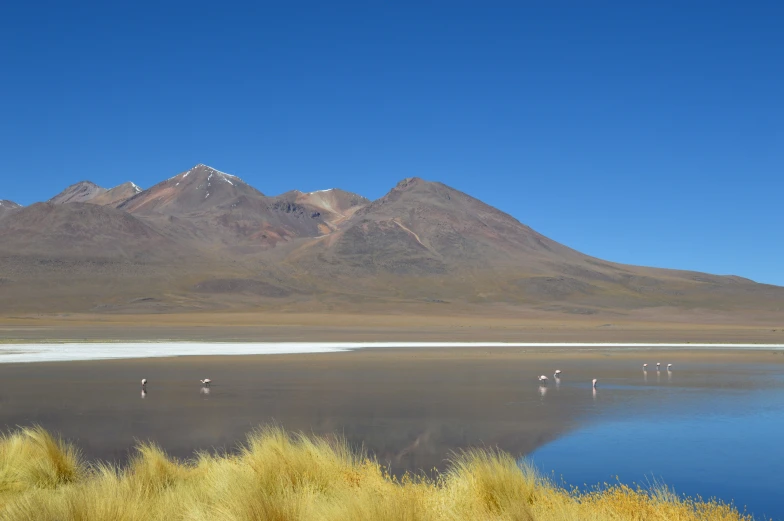 a pond with water, grass and some mountains