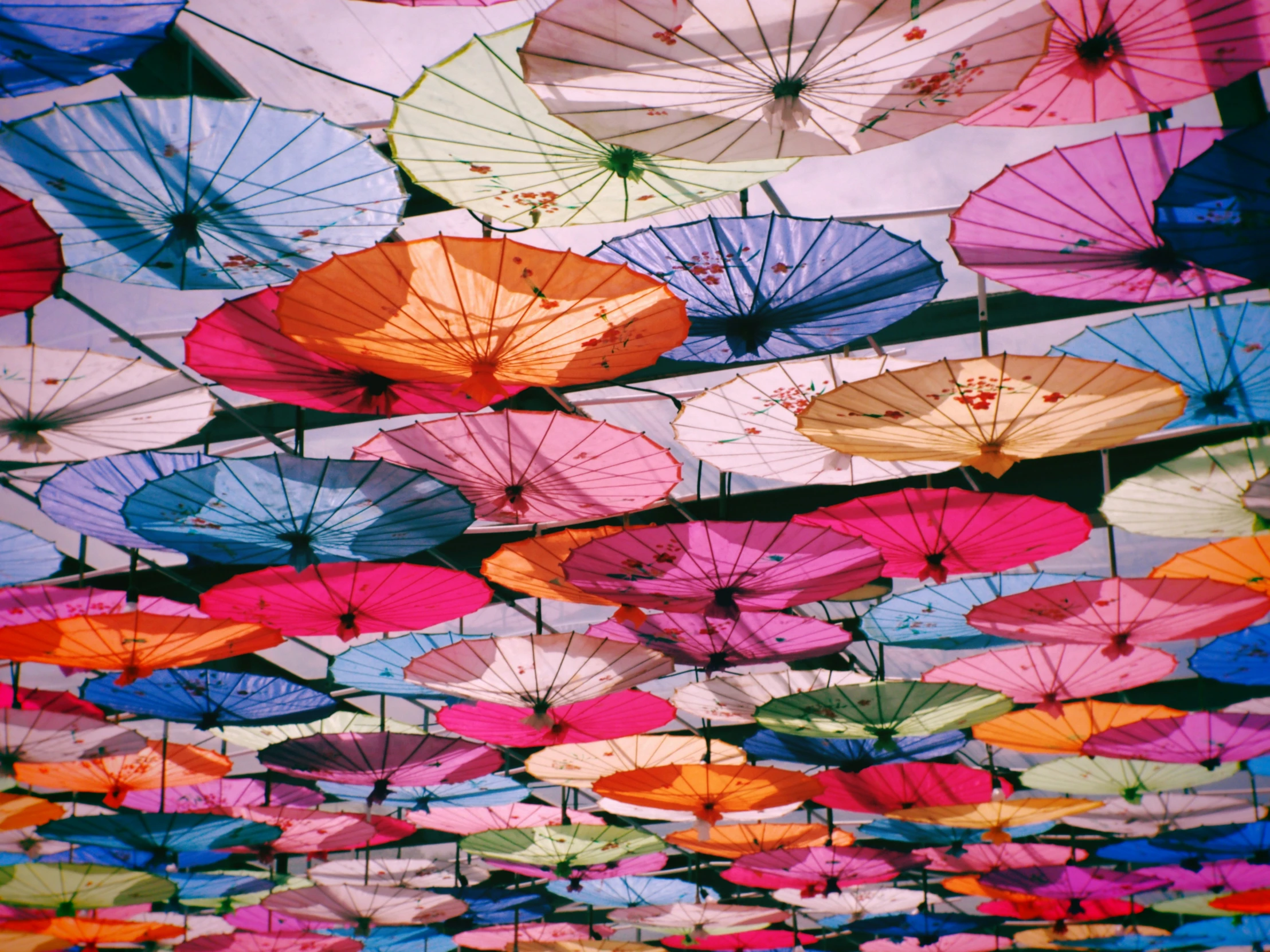 colorful umbrellas with their reflections in the water