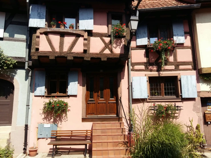 a street scene with a house and some flowers