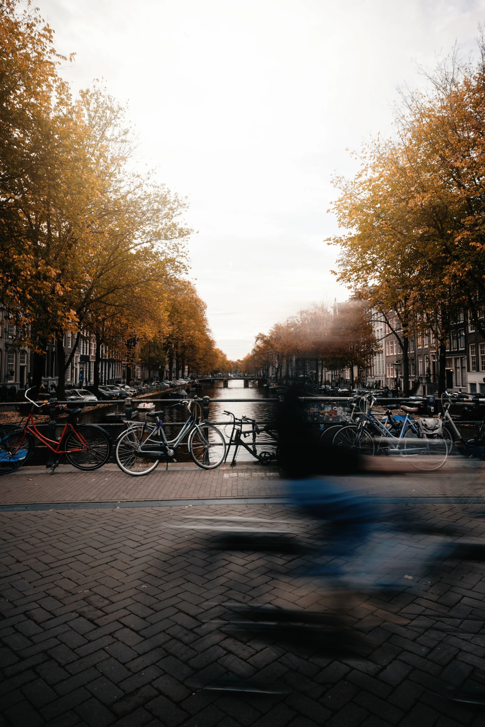 a person with bikes is traveling down a city street