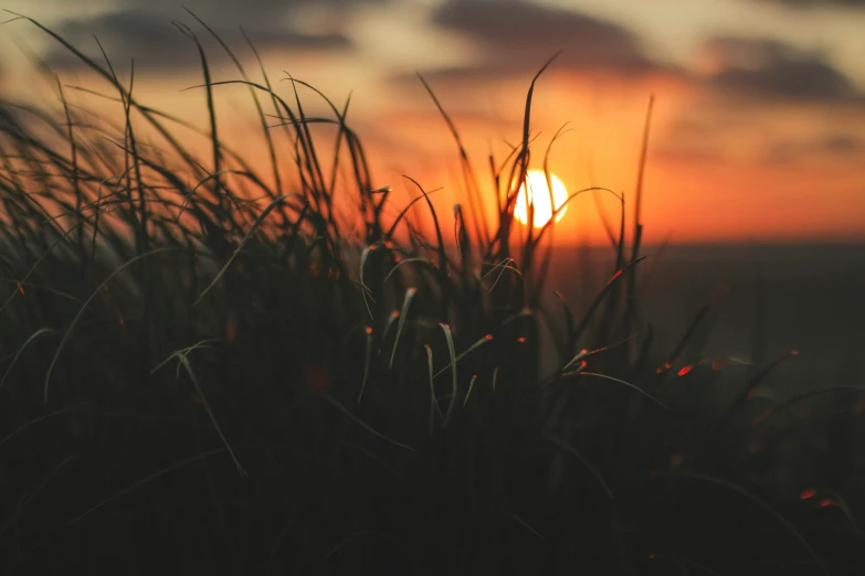 the sun shines through the clouds over the marsh grass