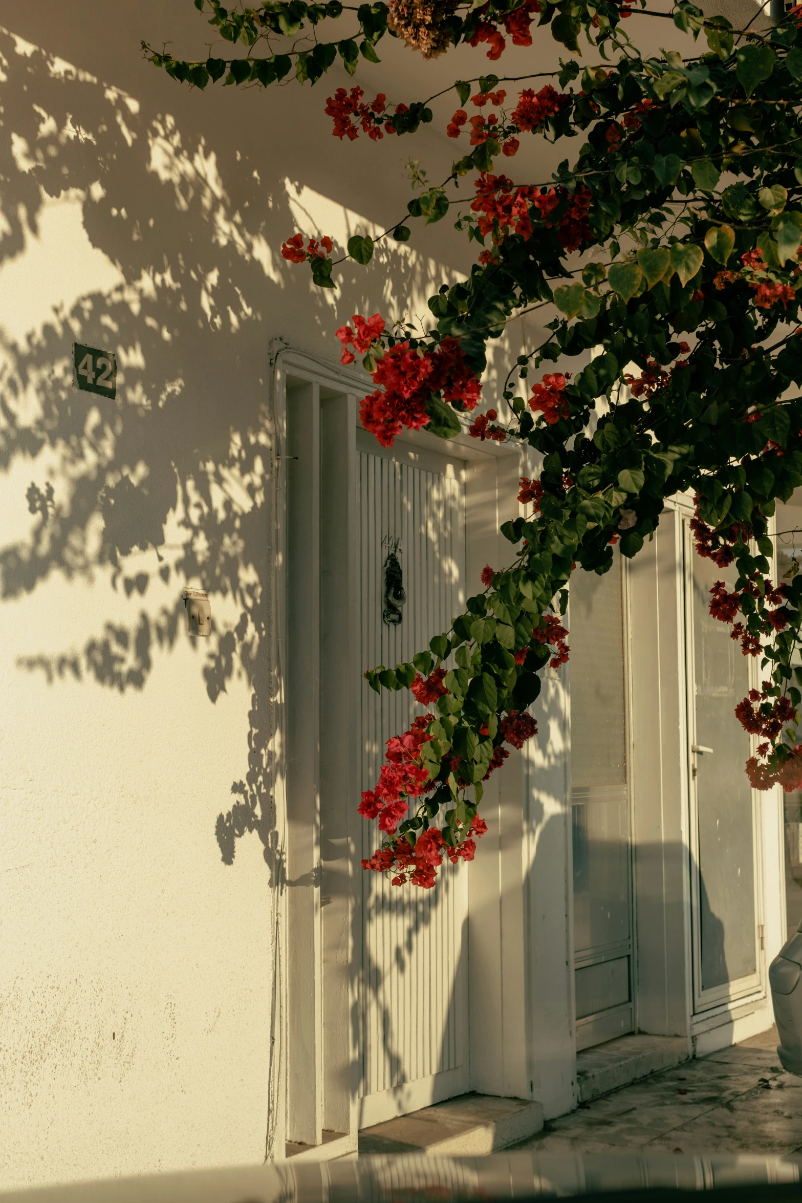 a door that has some flowers by it